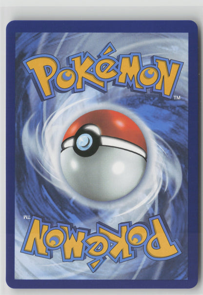 Shroodle - Illustration Rare Holo MEG 149/132 NM (Back)
