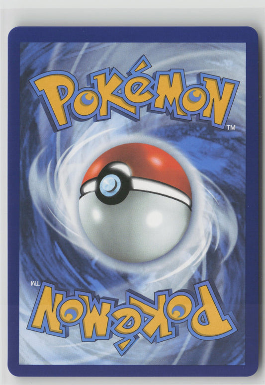Shroodle - Illustration Rare Holo MEG 149/132 NM (Back)