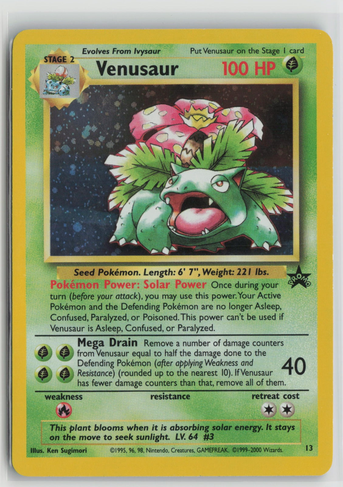Venusaur Promo Holo PR 13/53 NM