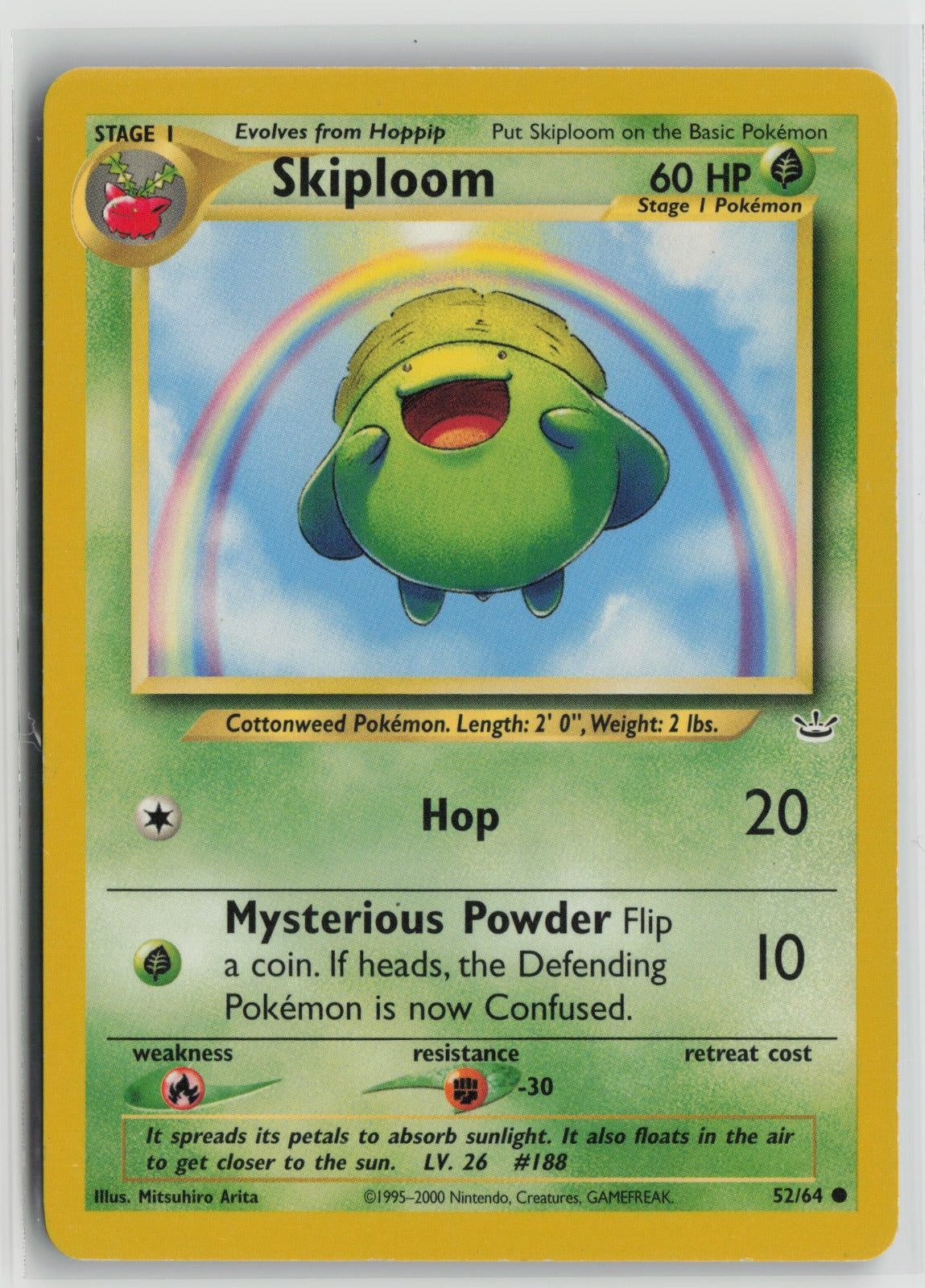 Skiploom Common Unlimited N3 52/64 LP