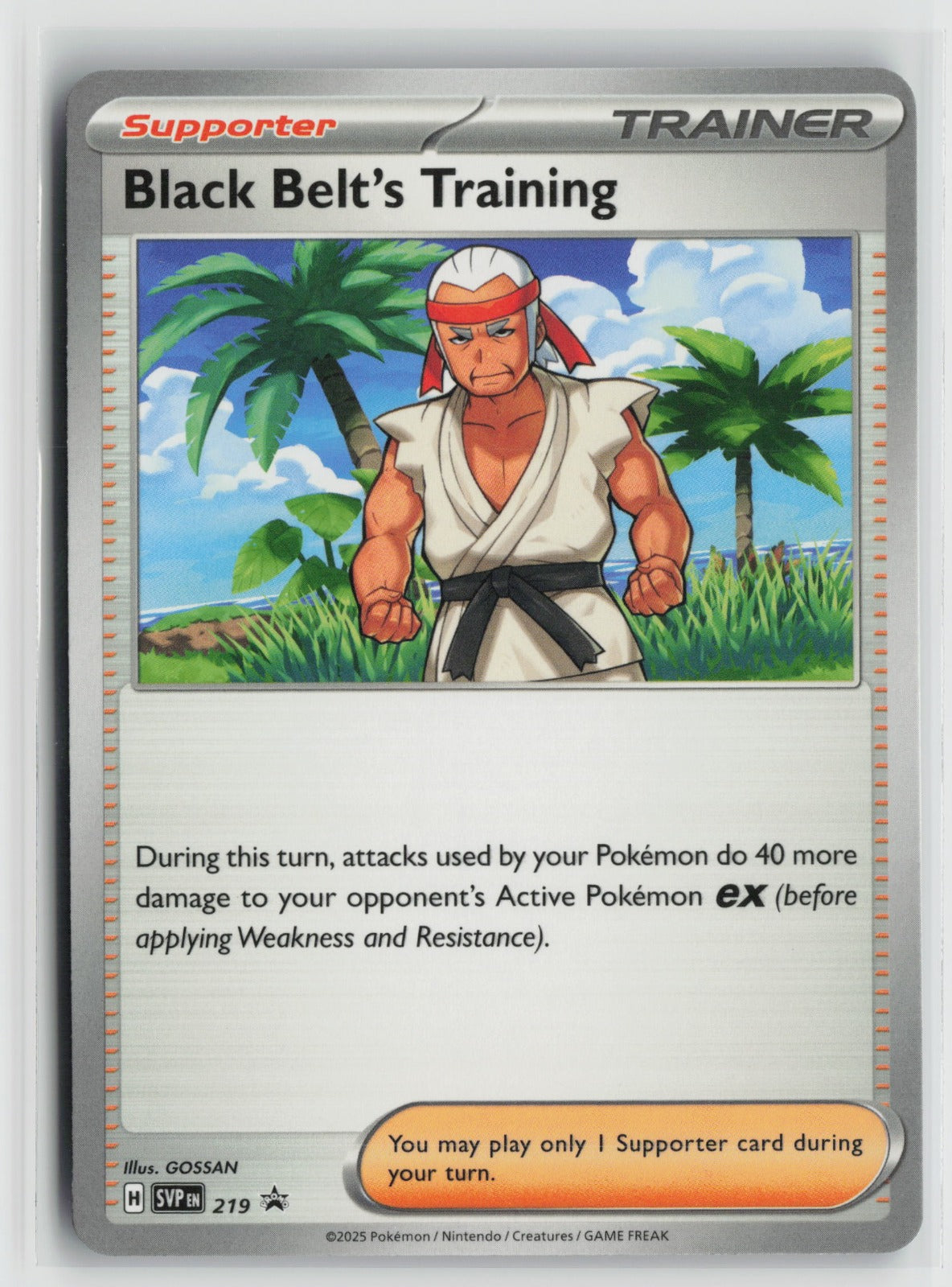 Black Belt's Training - Promo SVP 219 NM