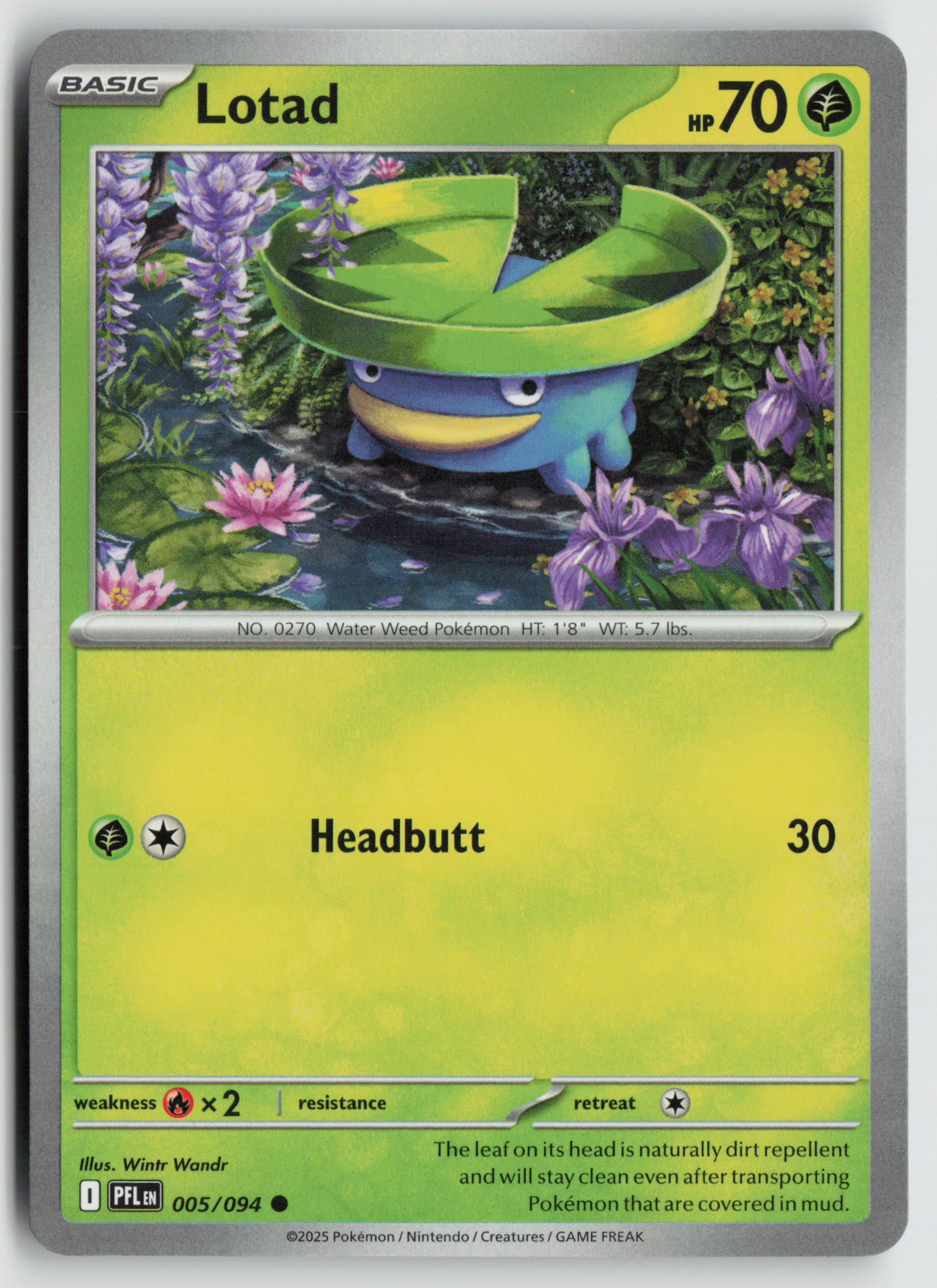 Lotad Common ME02: Phantasmal Flames 005/094 NM