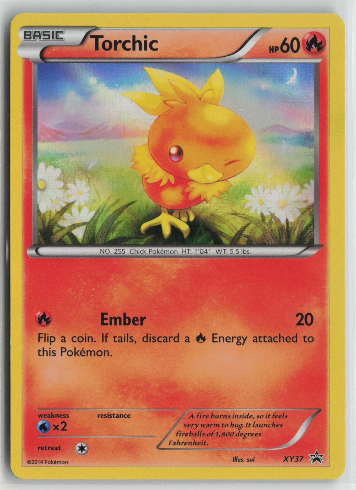 Torchic Promo Holo PR XY37 NM
