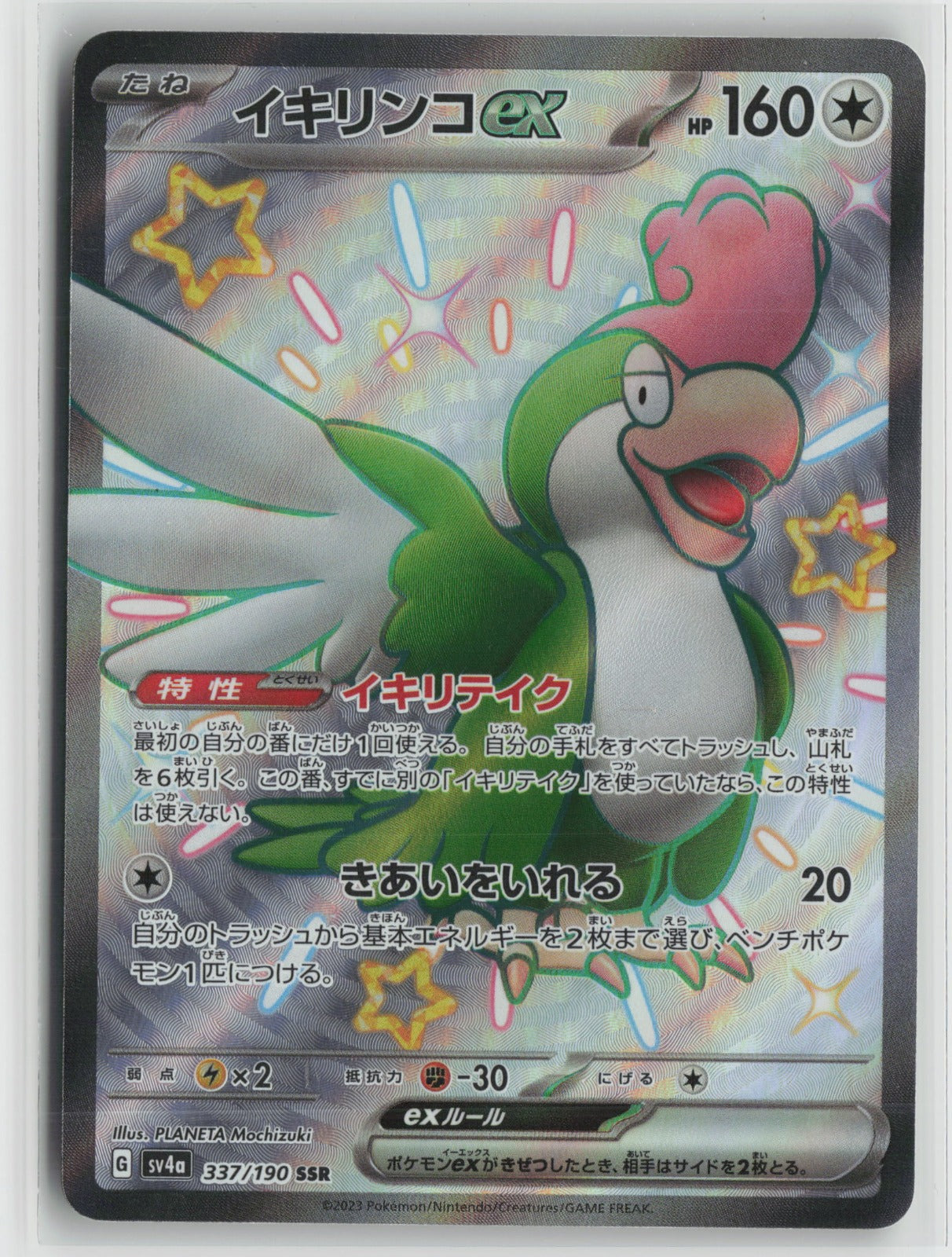 Squawkabilly ex - Shiny Secret Rare Holo SV4a 337/190 NM