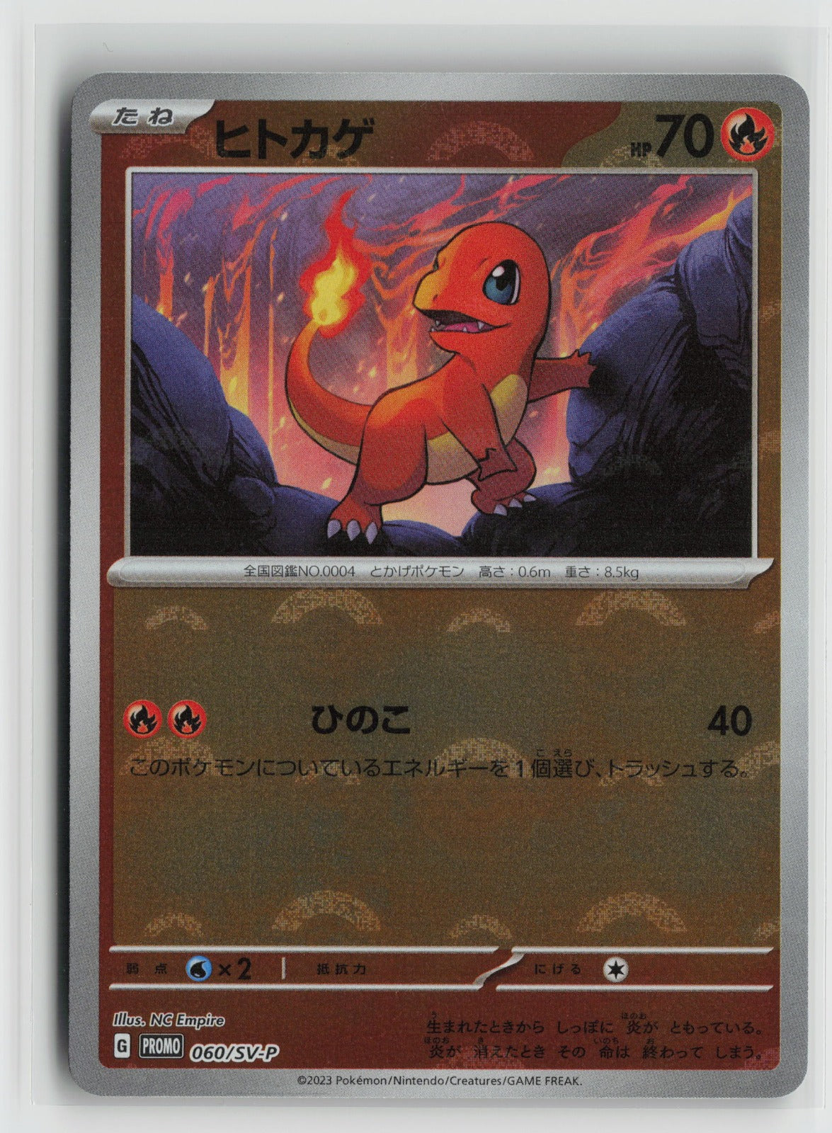 Charmander - Common Holo SV-P 060/SV-P NM