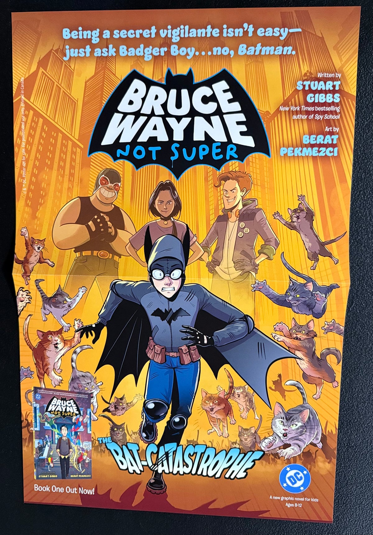 Bruce Wayne Not Super Promo Poster (Retailer Exclusive)