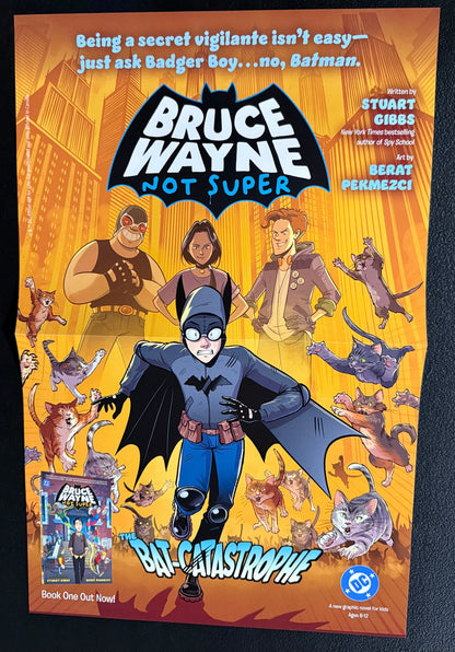 Bruce Wayne Not Super Promo Poster (Retailer Exclusive)