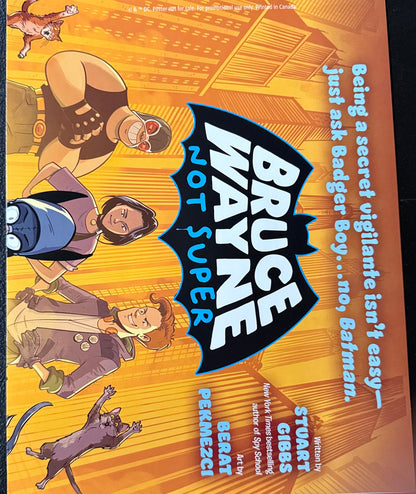 Bruce Wayne Not Super Promo Poster (Retailer Exclusive)