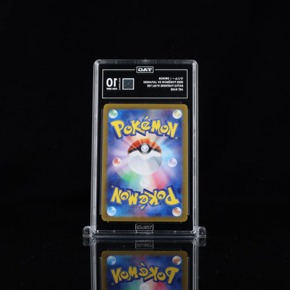 Swinub - SV JPN - Battle Partners #106/100 - TAG 10