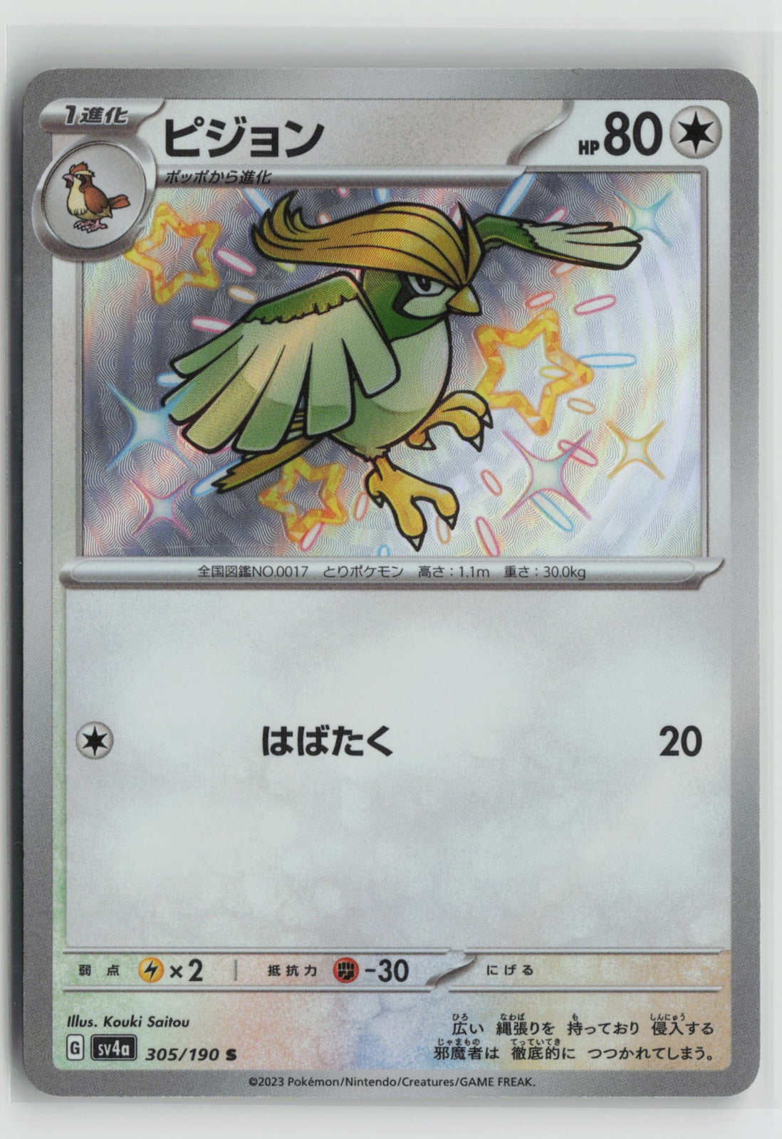 Pidgeotto - Shiny Rare Holo SV4a 305/190 NM