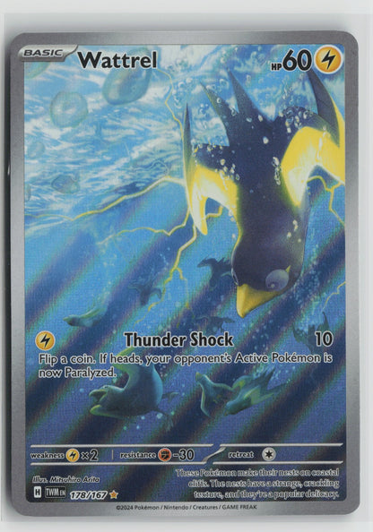 Wattrel Illustration Rare Holo TWM 178/167 NM
