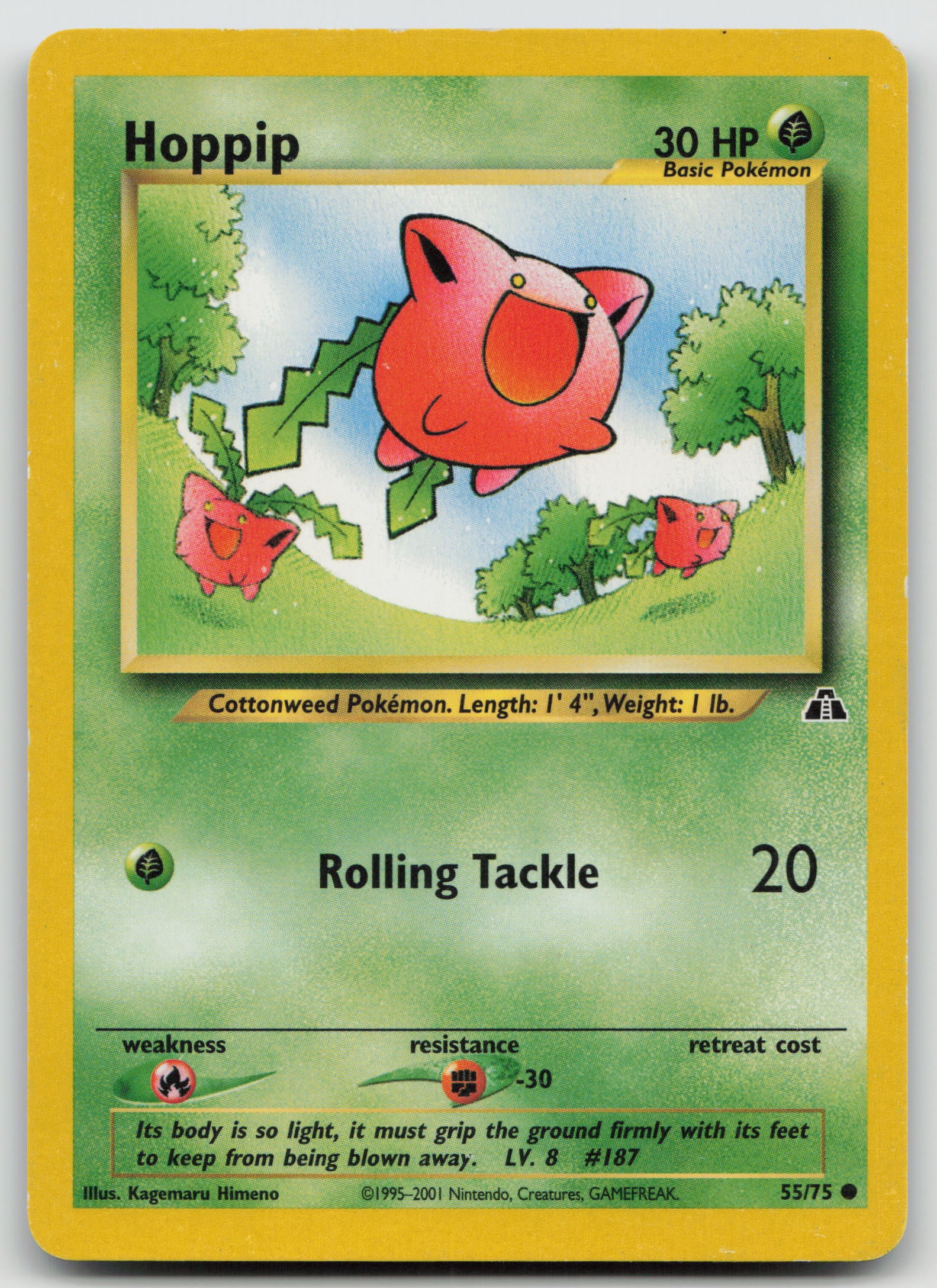 Hoppip Common Unlimited N2 55/75 MP