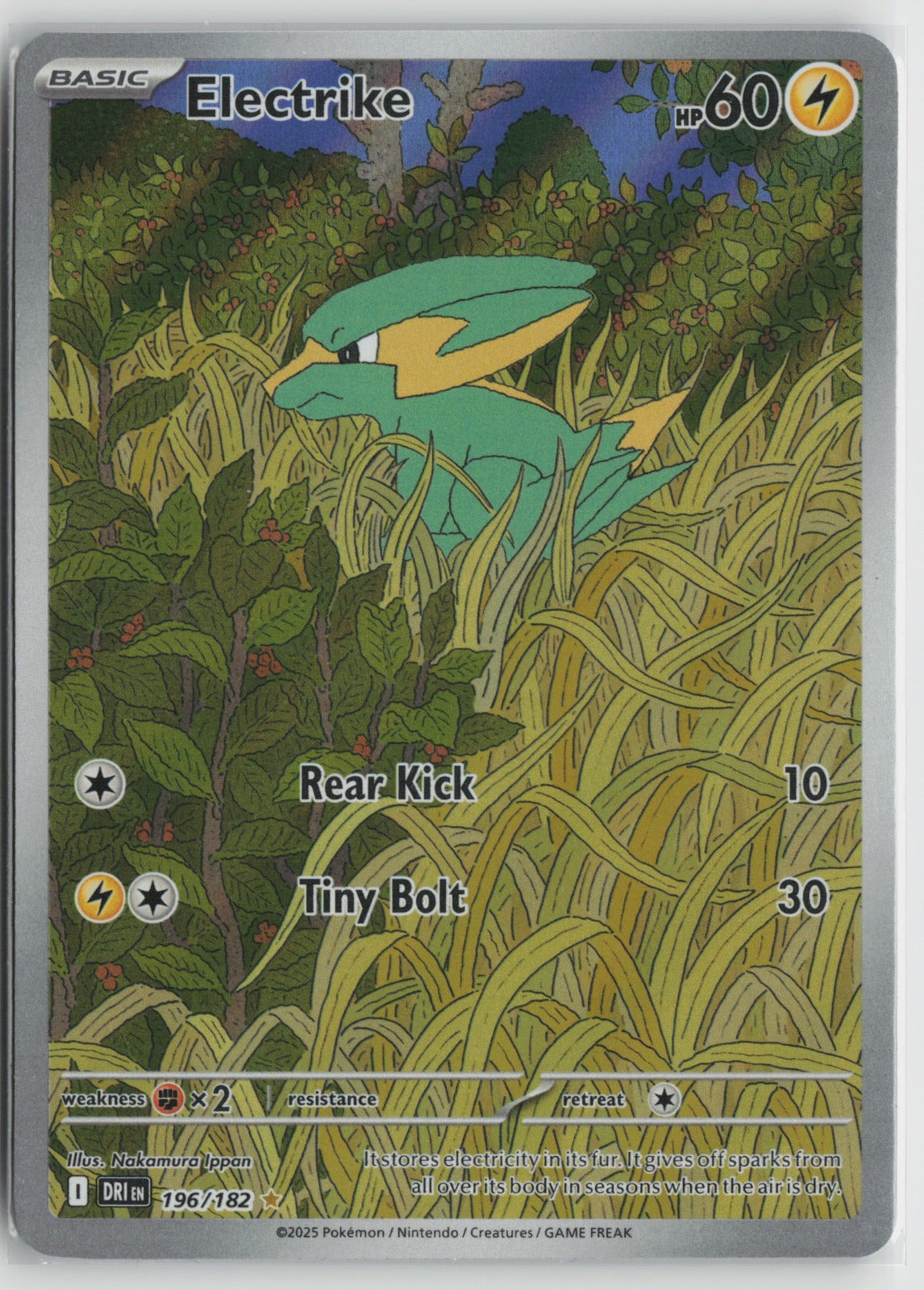 Electrike - Illustration Rare Holo DRI 196/182 NM