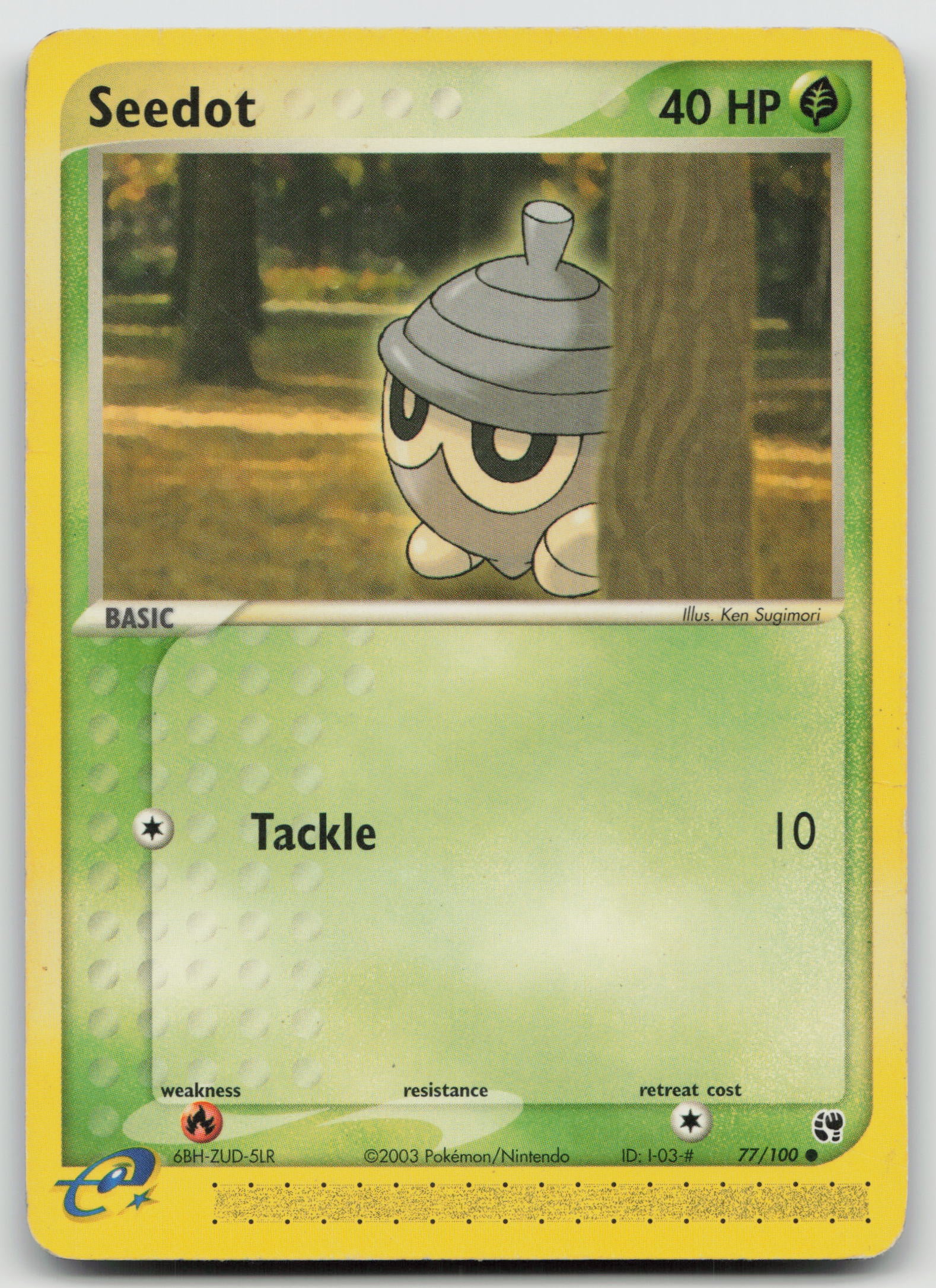 Seedot Common Normal SS 77/100 MP