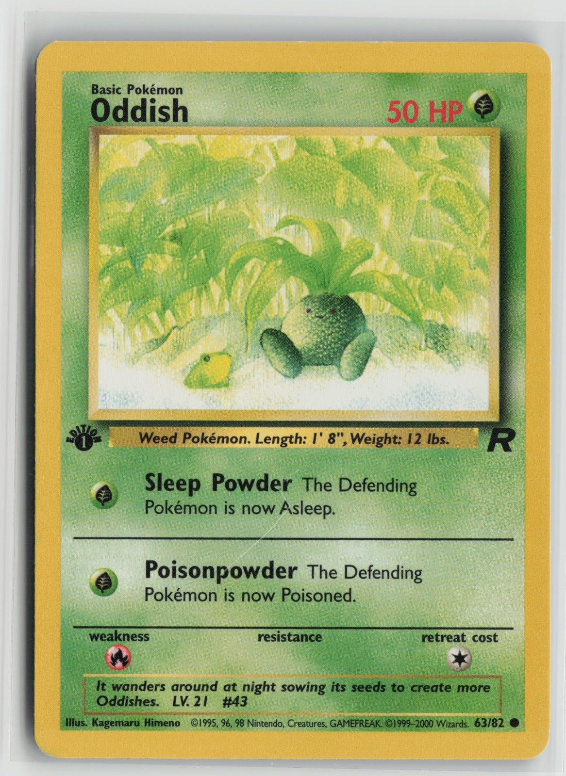 Oddish Common 1st Edition TR 63/82 LP