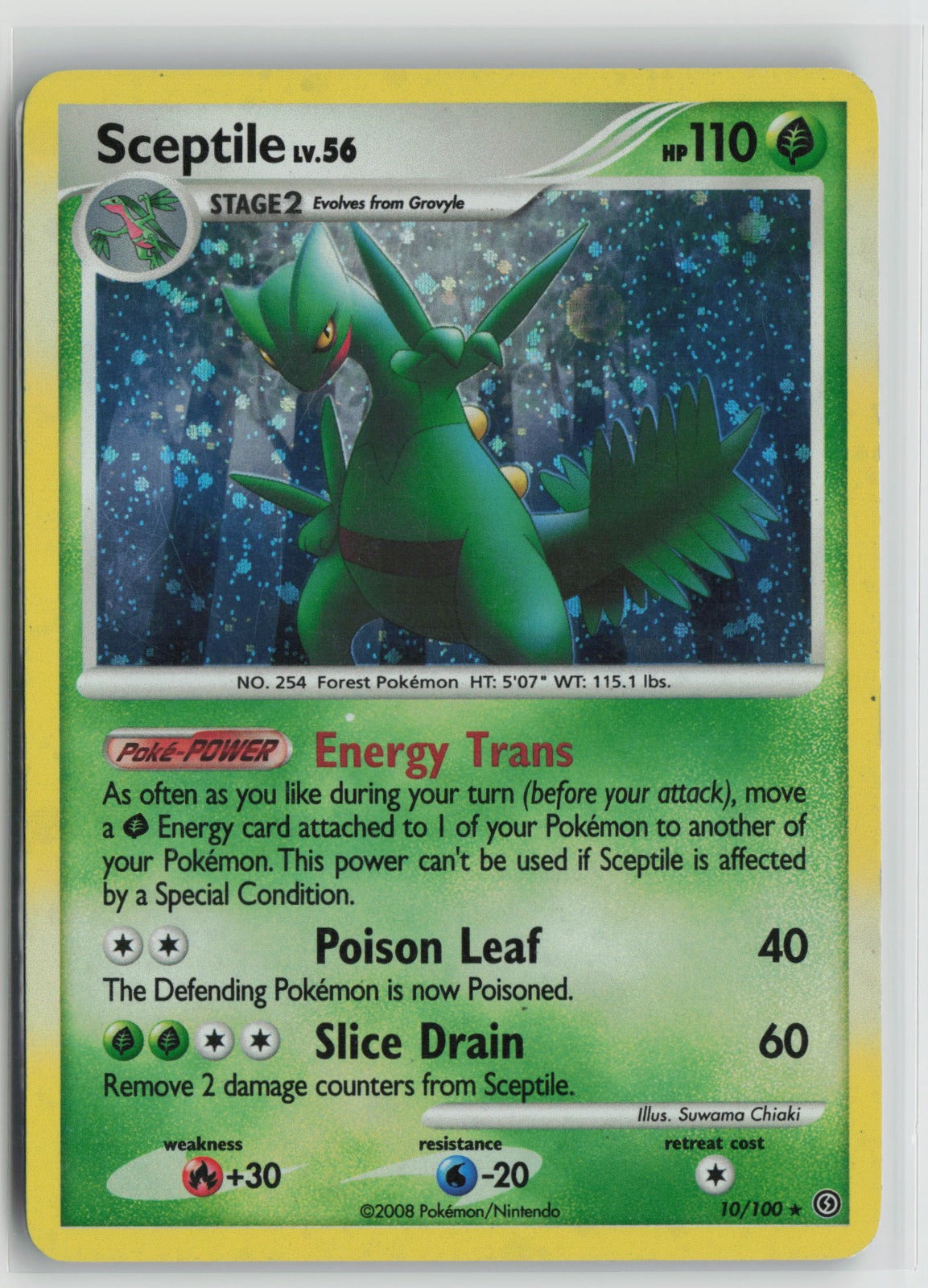 Sceptile Holo Rare SF 10/100 MP