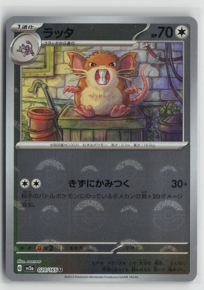 Raticate (Poke Ball Pattern) Uncommon SV2a: Pokemon Card 151 020/165 NM