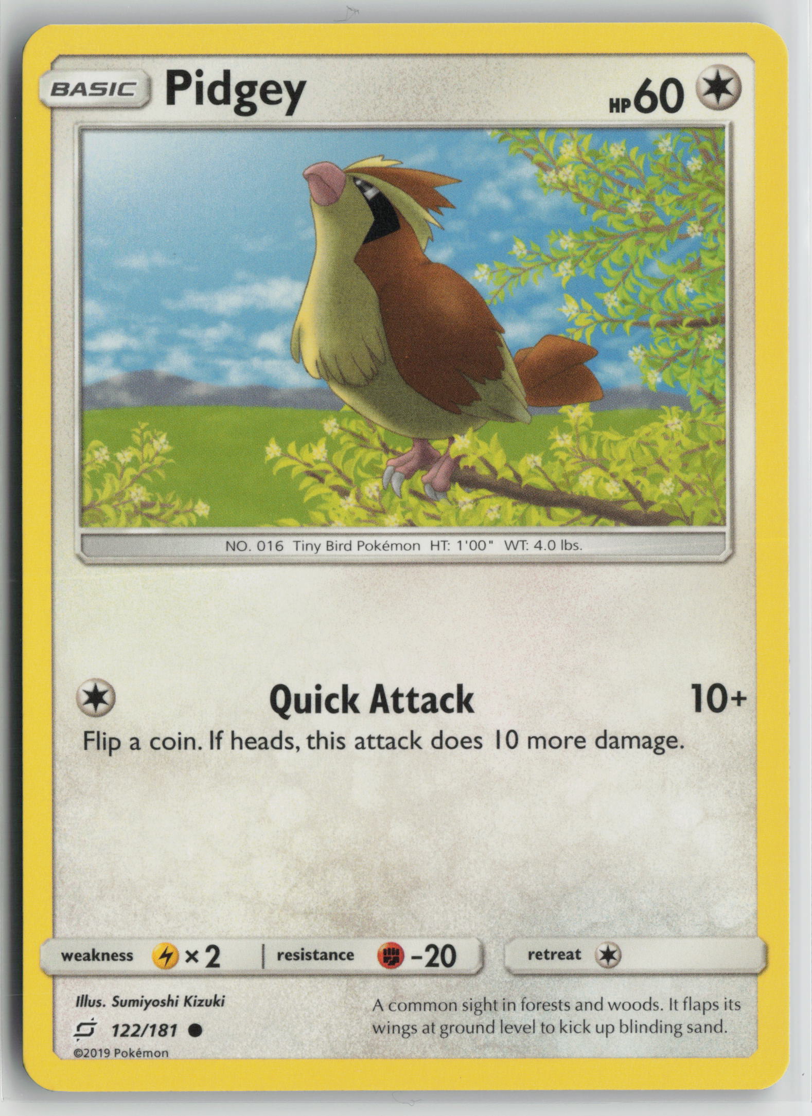 Pidgey (122) Common SM - Team Up 122/181 NM