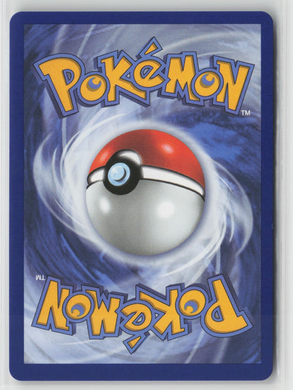 Spewpa Illustration Rare Holo POR 089/088 NM (Back)