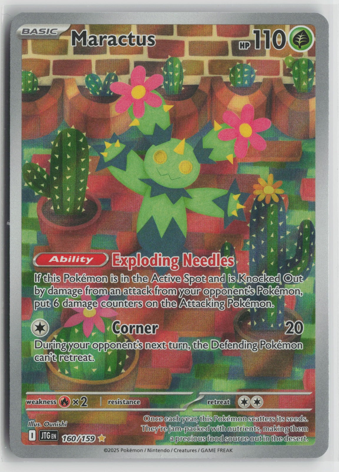 Maractus - Illustration Rare Holo JTG 160/159 NM