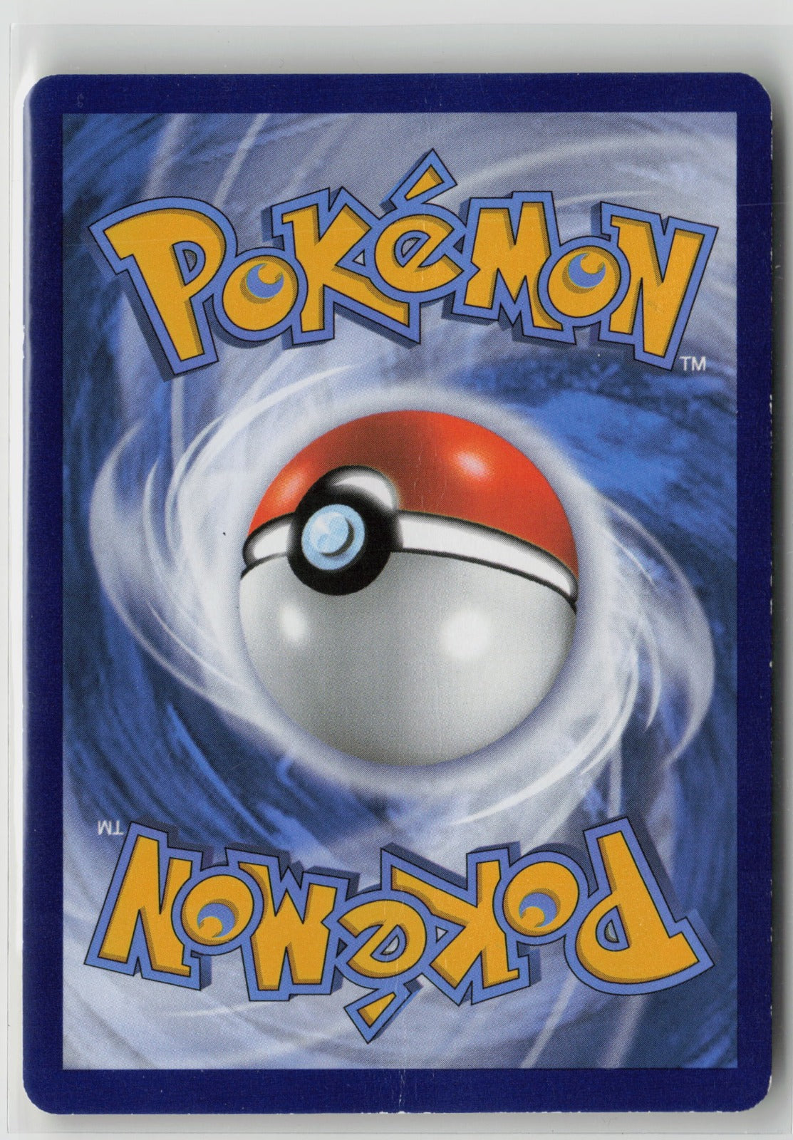 Team Aqua's Walrein Holo Rare Holo DCR 5/34 DMG (Back)