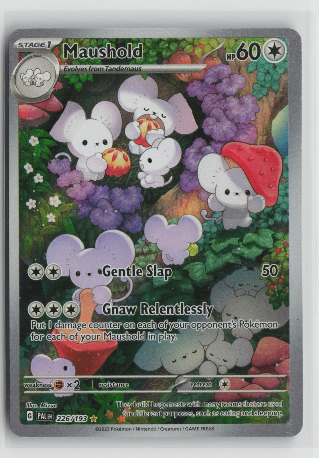 Maushold Illustration Rare Holo PAL 226/193 NM