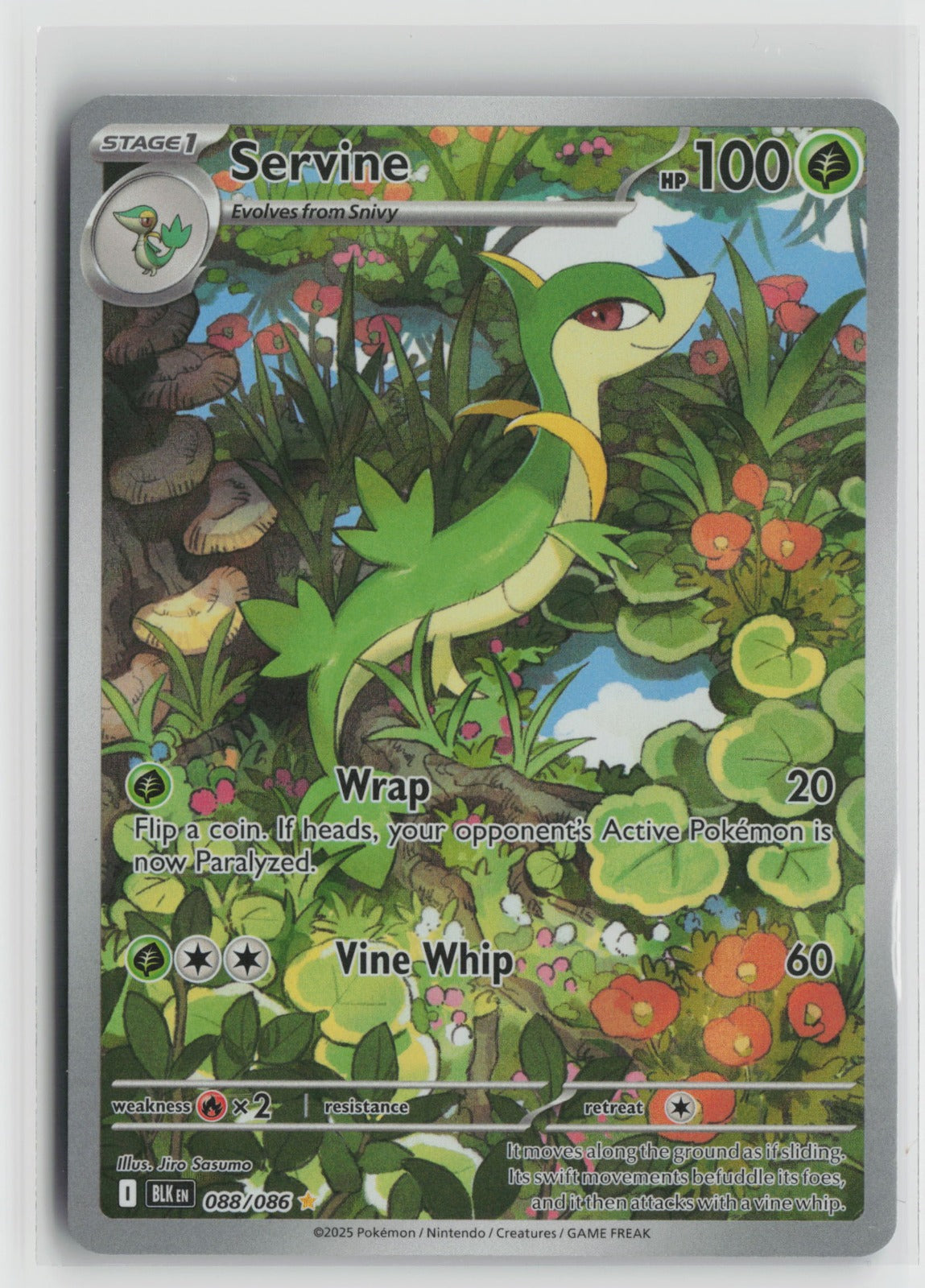 Servine Illustration Rare Holo BLK 088/086 NM