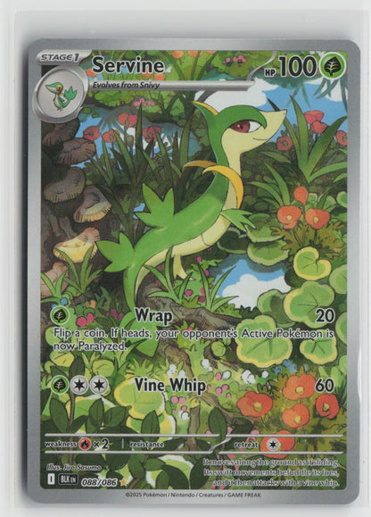 Servine Illustration Rare Holo BLK 088/086 NM