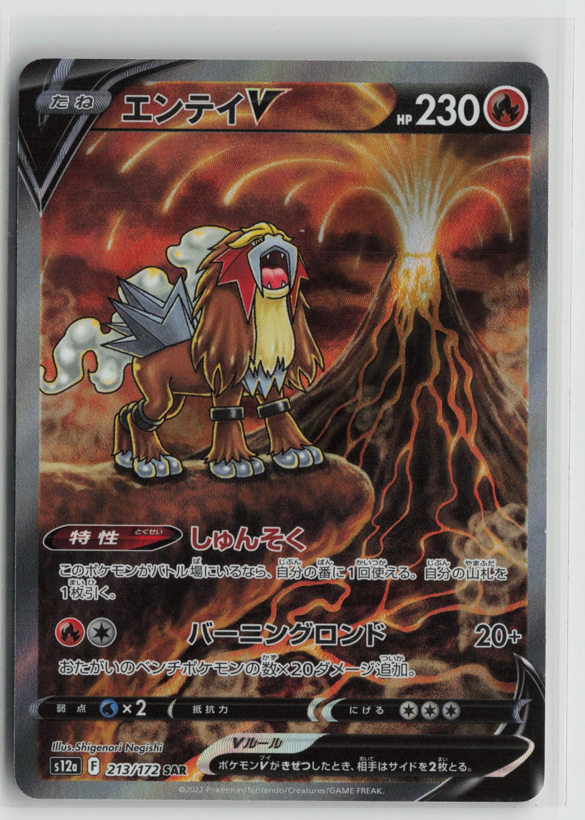 Entei V - Special Art Rare Holo S12a 213/172 NM