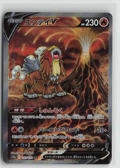 Entei V - Special Art Rare Holo S12a 213/172 NM