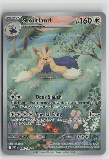 Stoutland - Illustration Rare Holo WHT 156/086 NM