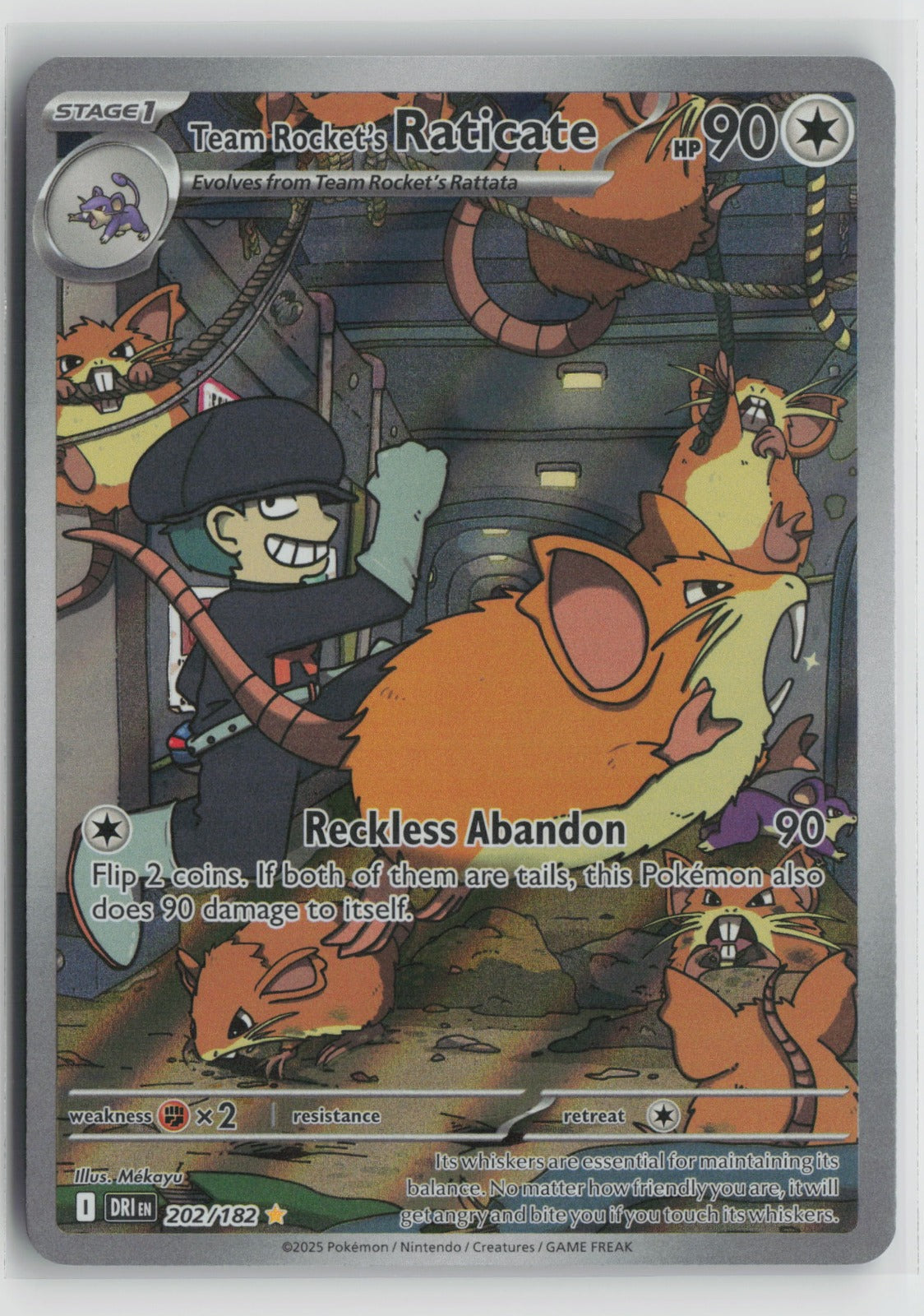 Team Rocket's Raticate Illustration Rare Holo DRI 202/182 NM- B