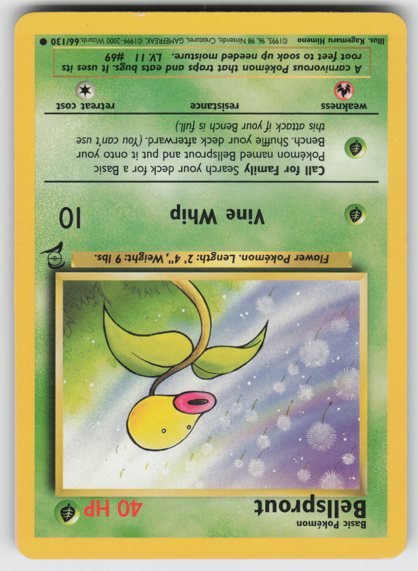 Bellsprout Common Base Set 2 066/130 LP