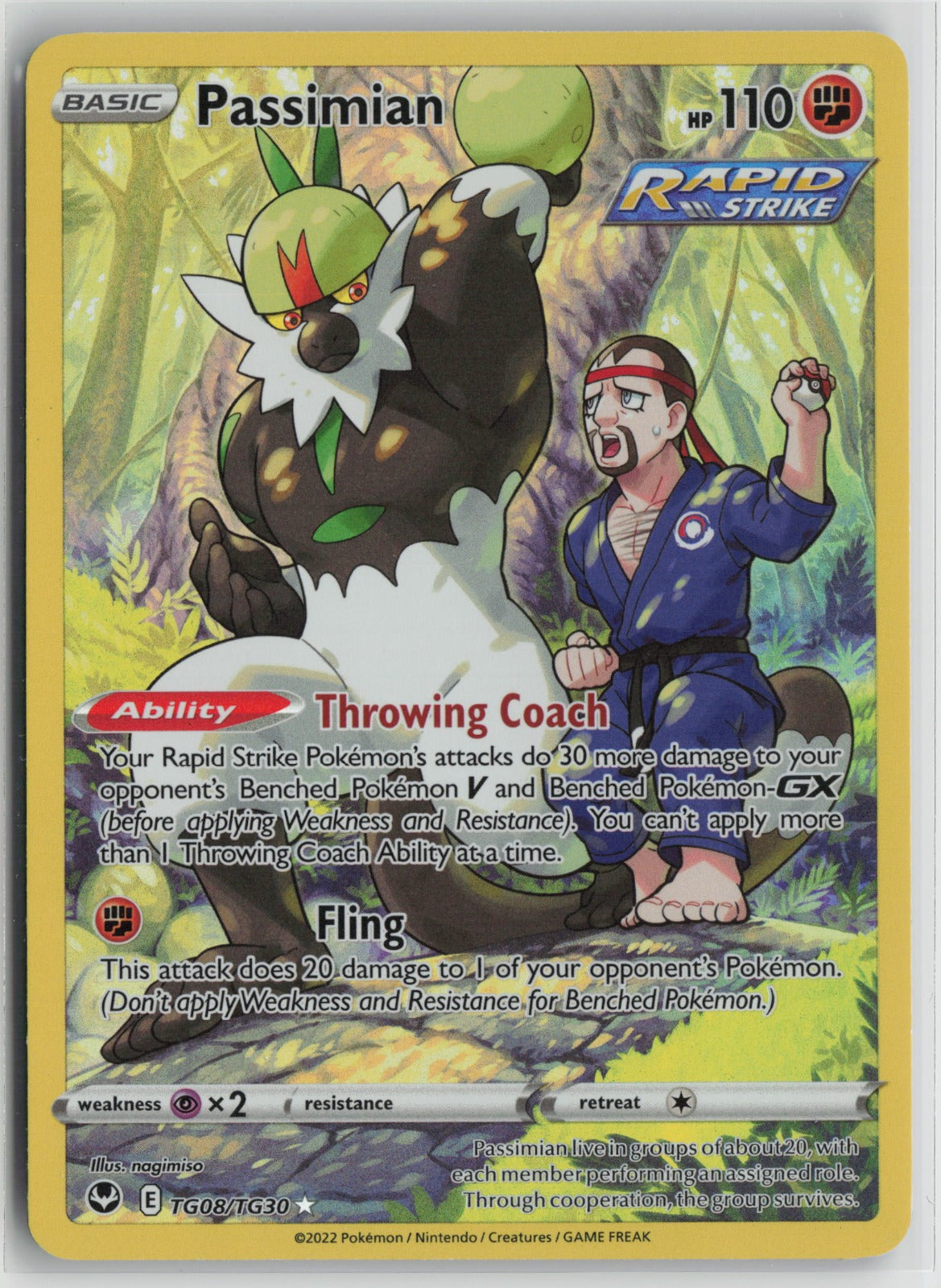 Passimian Ultra Rare Holo SWSH12: TG TG08/TG30 NM- B