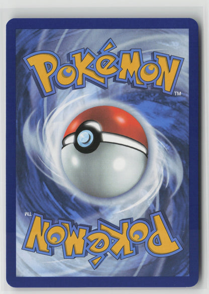 Larvesta - Illustration Rare Holo SSP 196/191 NM (Back)