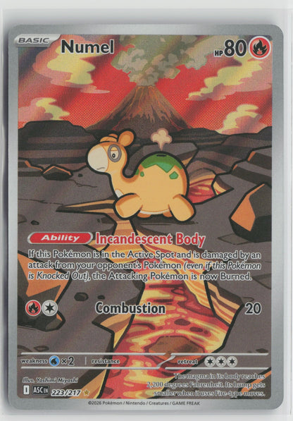 Numel - Illustration Rare Holo ASC 223/217 NM