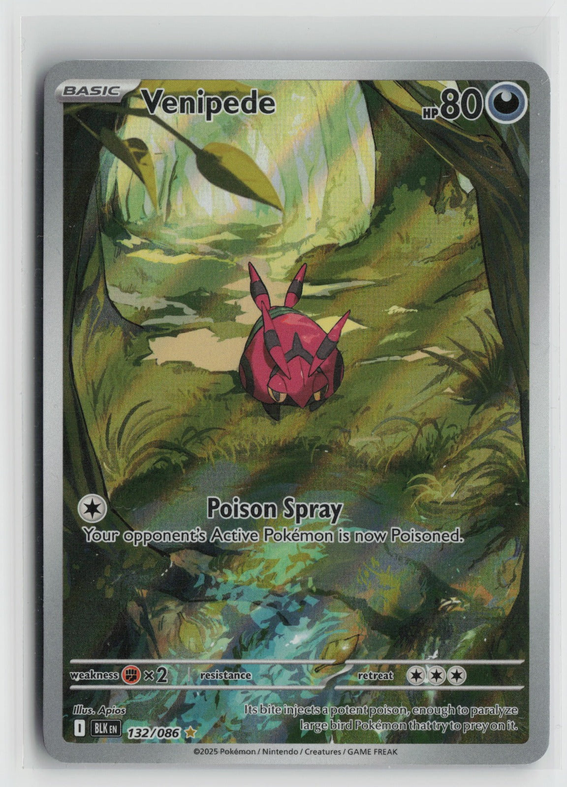 Venipede - Illustration Rare Holo BLK 132/086 NM