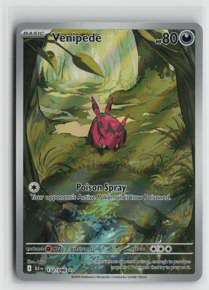 Venipede - Illustration Rare Holo BLK 132/086 NM