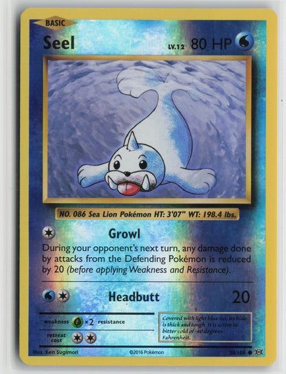 Seel Common XY - Evolutions 28/108 NM