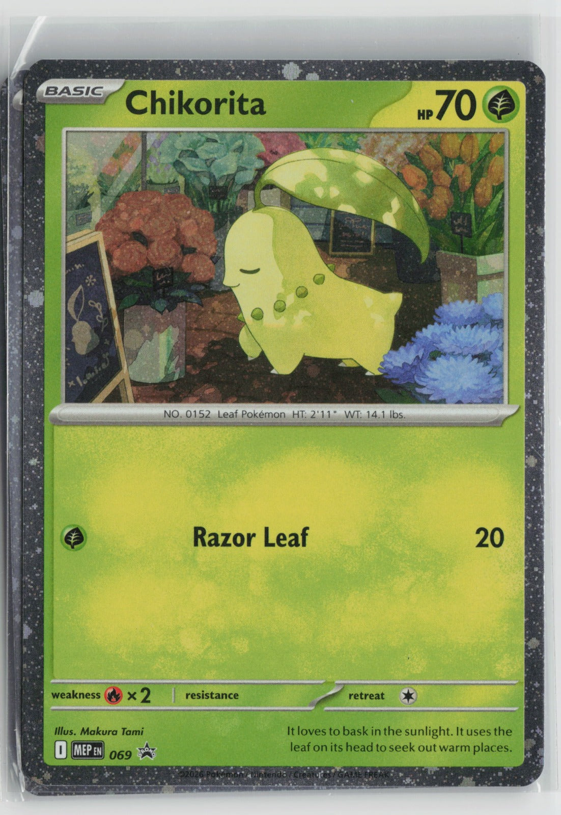 Chikorita (Cosmos Holo) Promo Holo MEP 069 NM