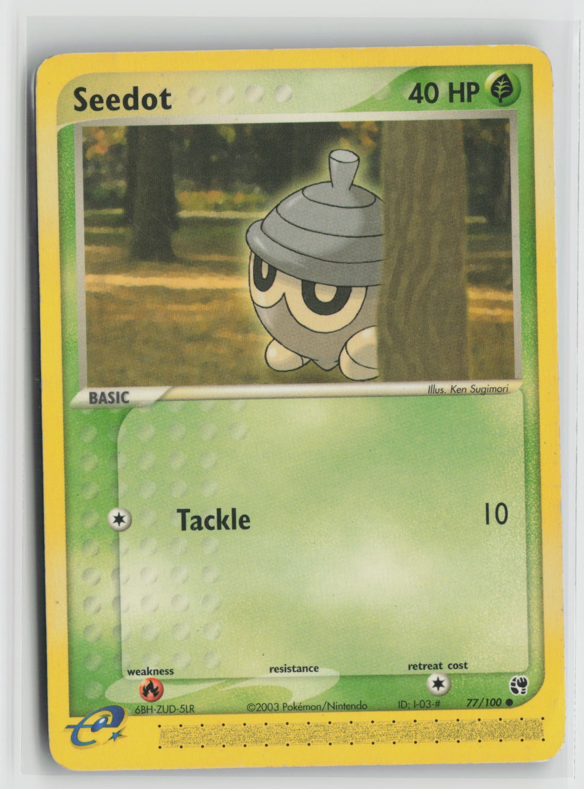 Seedot - Common SS 77/100 MP