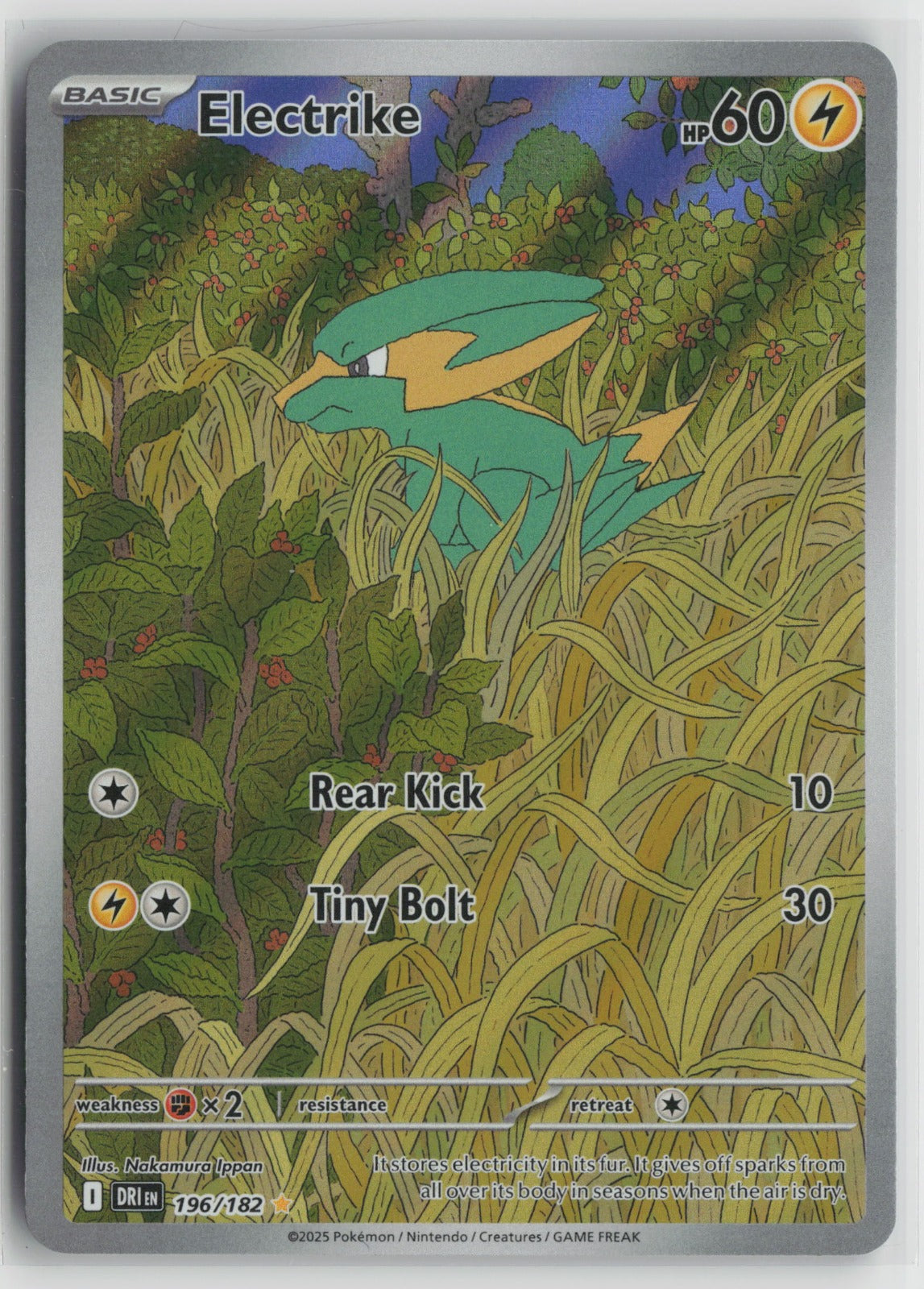 Electrike - Illustration Rare Holo DRI 196/182 NM