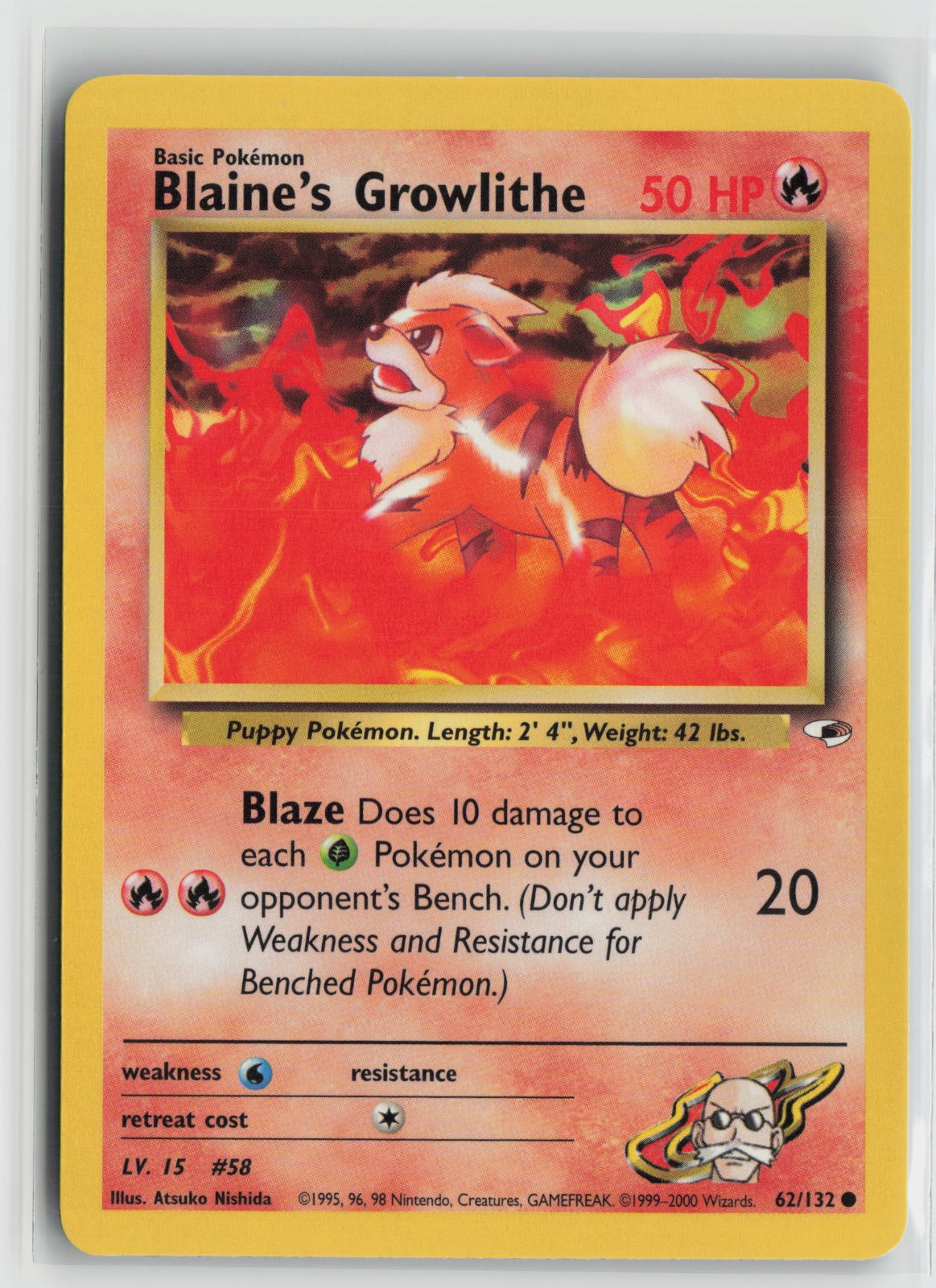 Blaine's Growlithe (62) Common Unlimited G1 062/132 NM