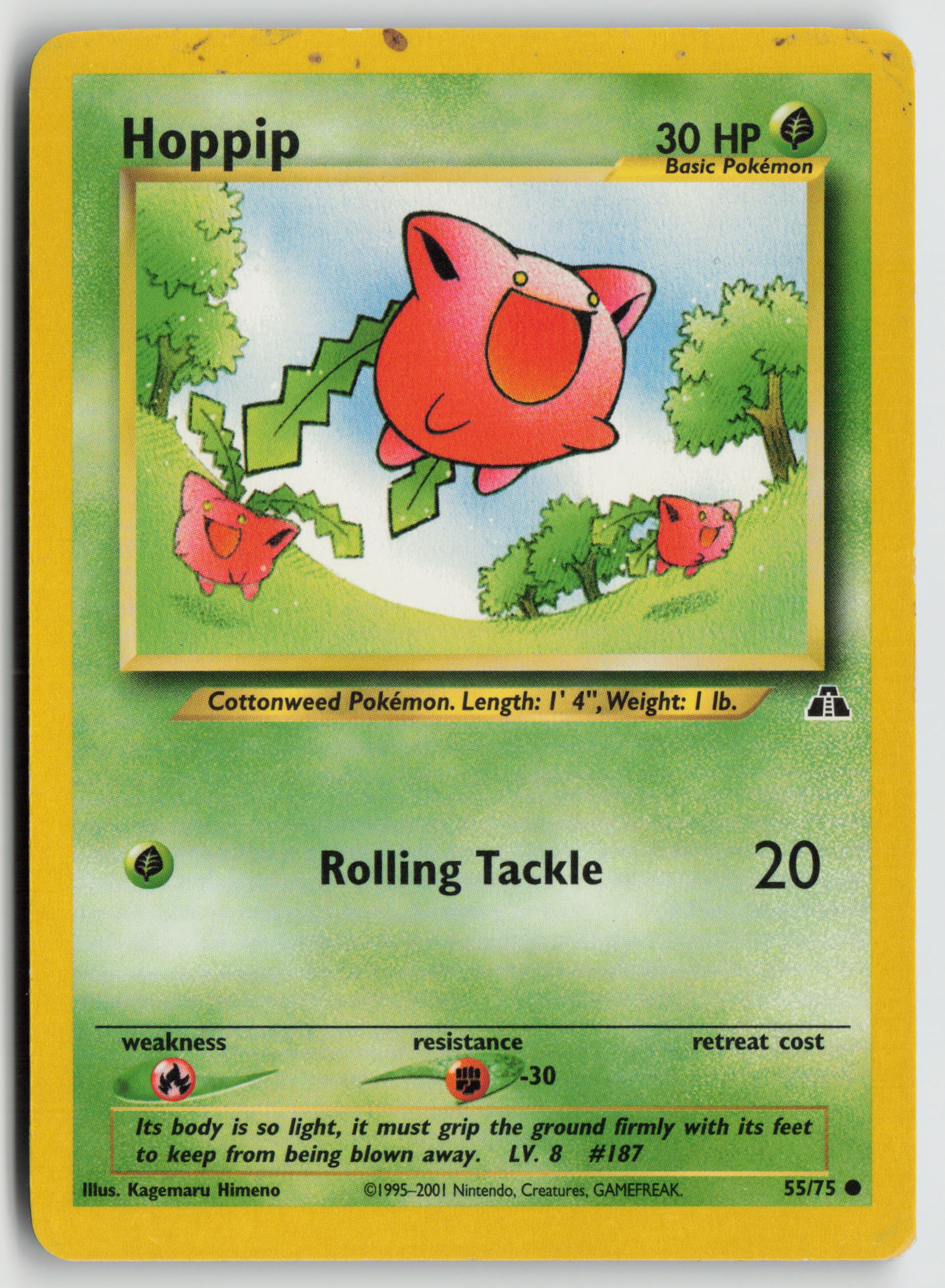 Hoppip Common Neo Discovery 55/75 MP