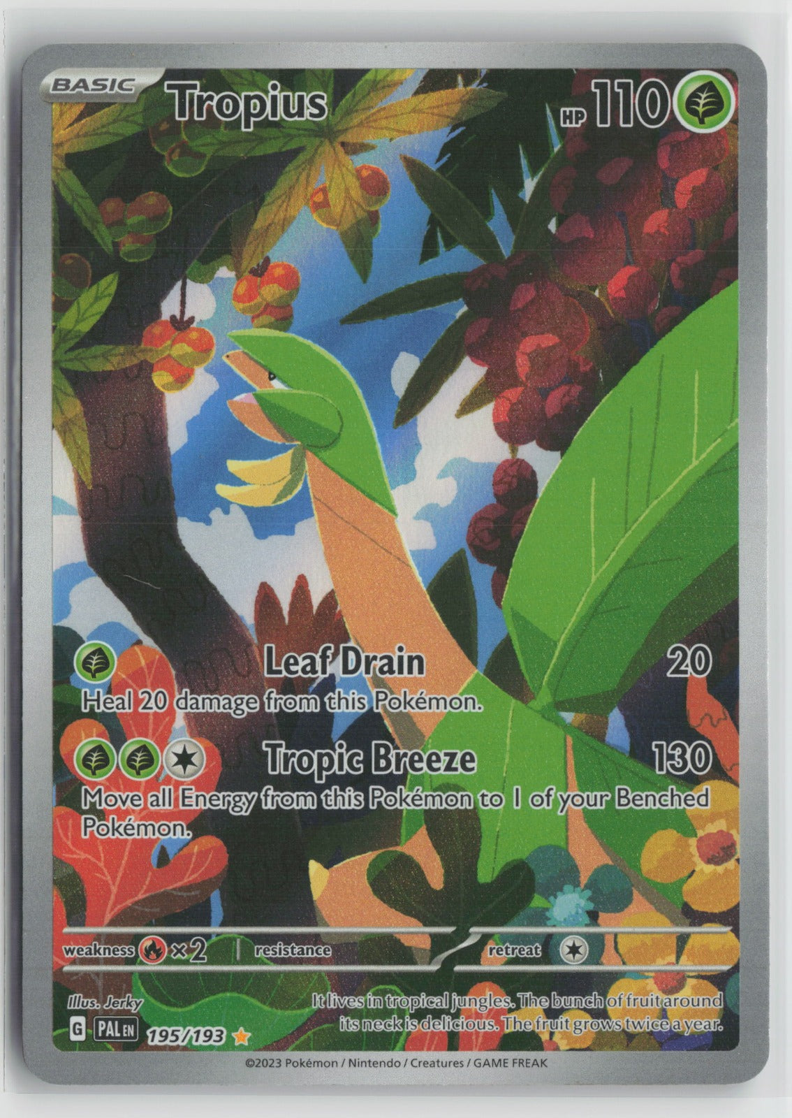 Tropius Illustration Rare Holo PAL 195/193 NM