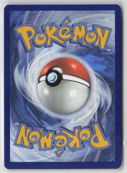 Tornadus - Promo Holo SVP 210 NM (Back)