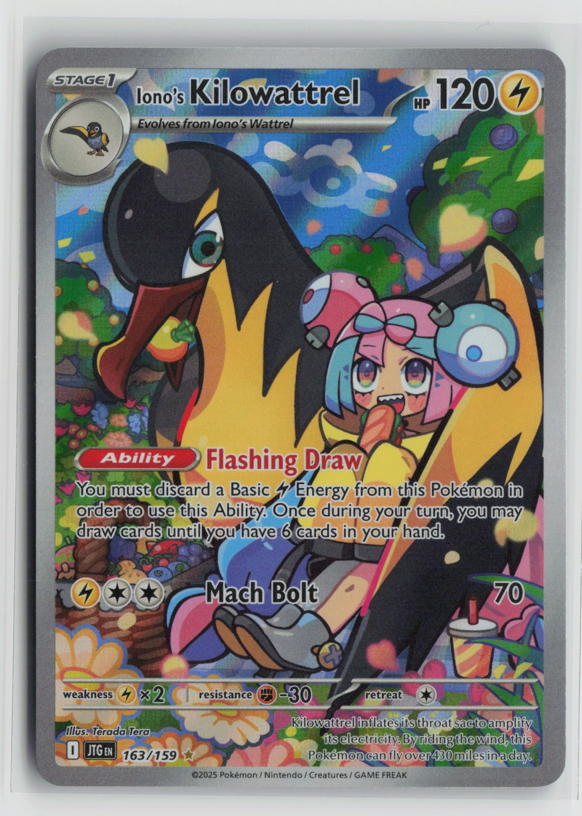 Iono's Kilowattrel - Illustration Rare Holo JTG 163/159 NM