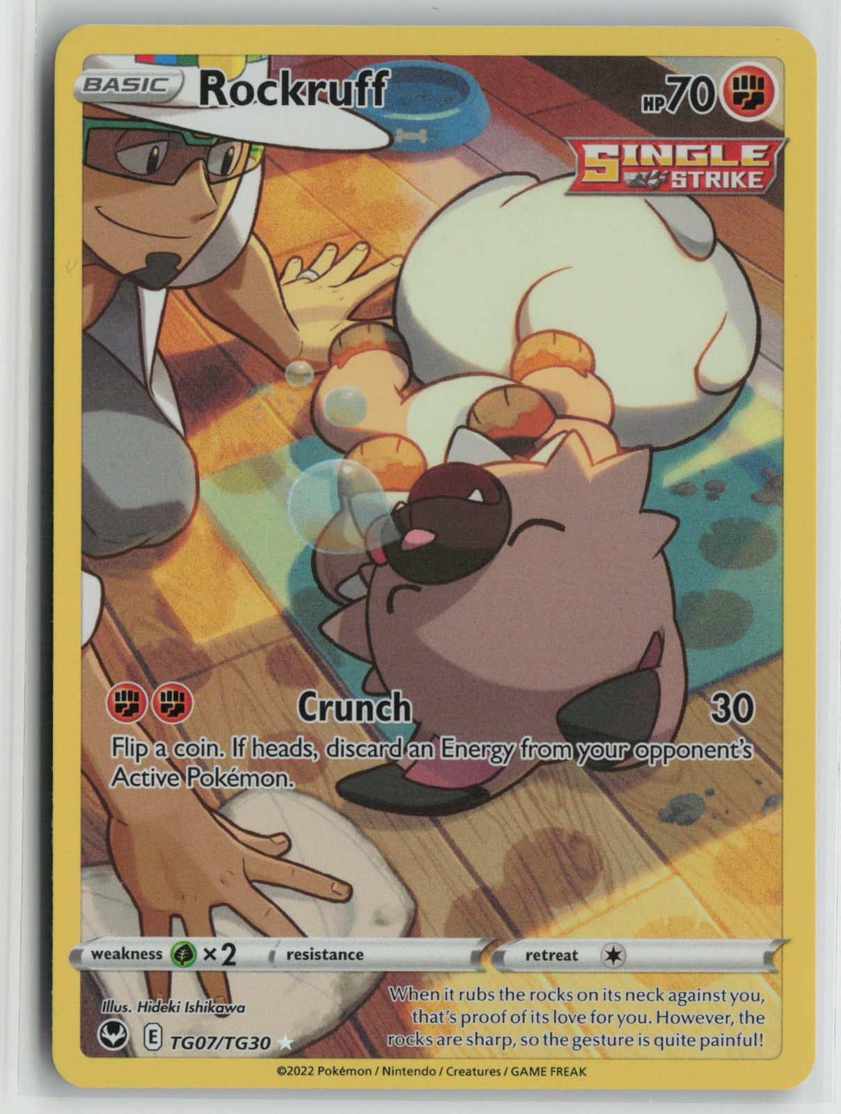 Rockruff Ultra Rare Holo SWSH12: TG TG07/TG30 NM