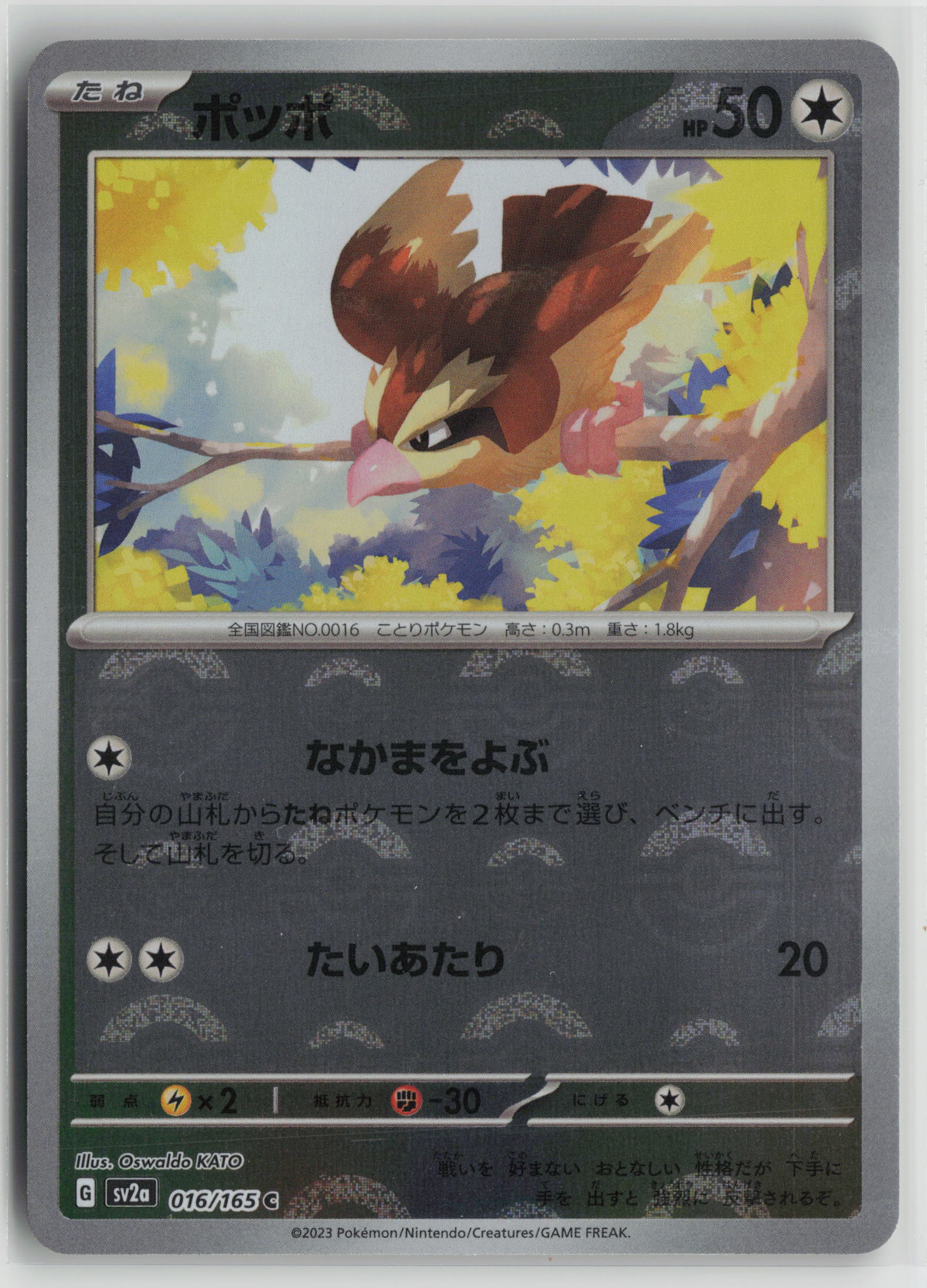 Pidgey (Poke Ball Pattern) Common SV2a: Pokemon Card 151 016/165 NM