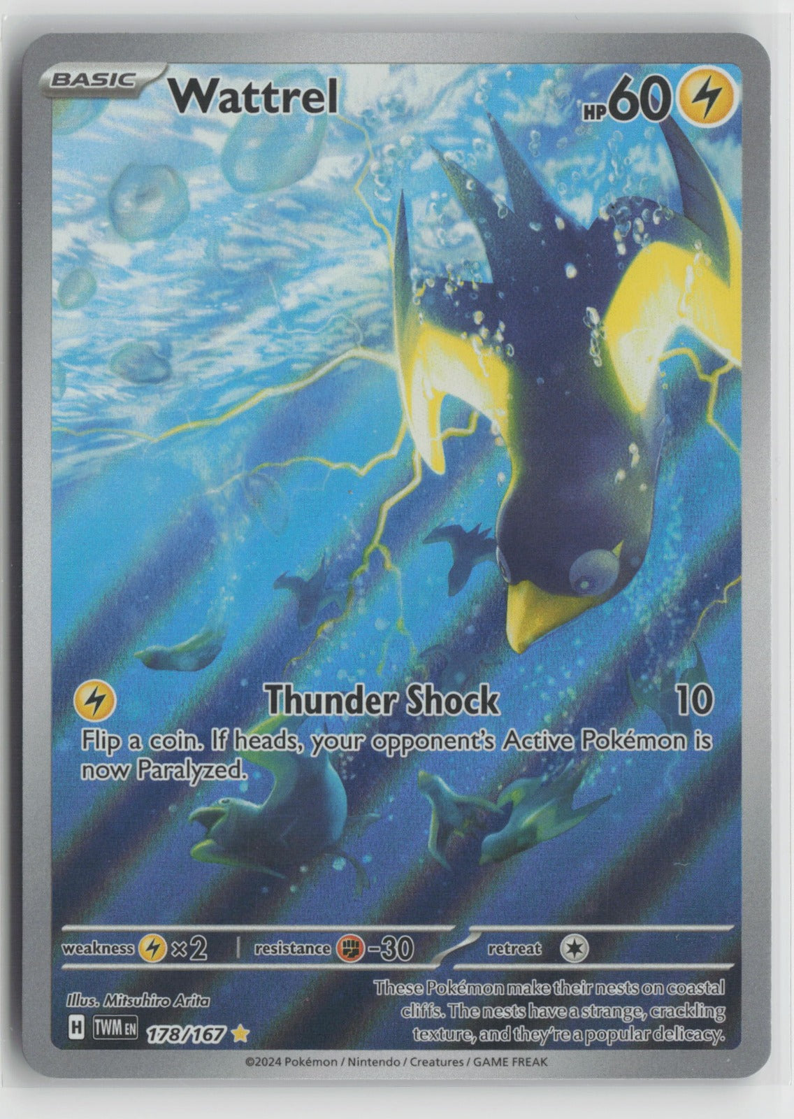 Wattrel - Illustration Rare Holo TWM 178/167 NM